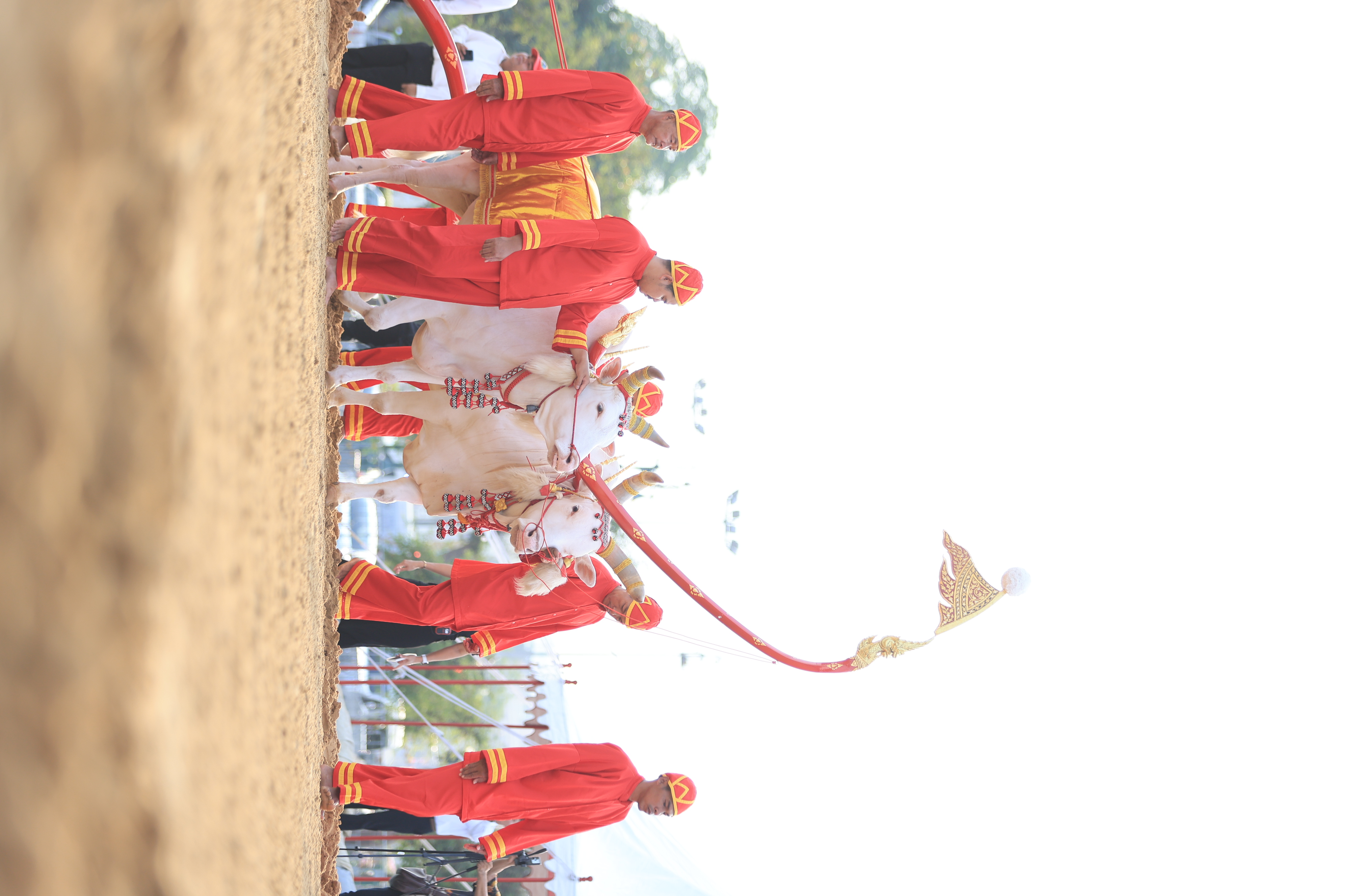 title - ส.ป.ก. ร่วมซ้อมใหญ่ ครั้งที่ 1 พระราชพิธีพืชมงคลจรดพระนังคัลแรกนาขวัญ ประจำปีพุทธศักราช 2569 